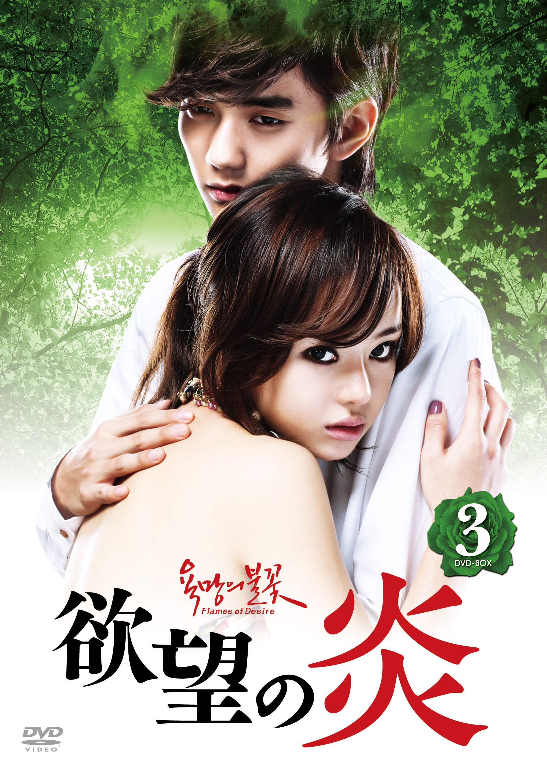 【中古】欲望の炎 DVD-BOX 3