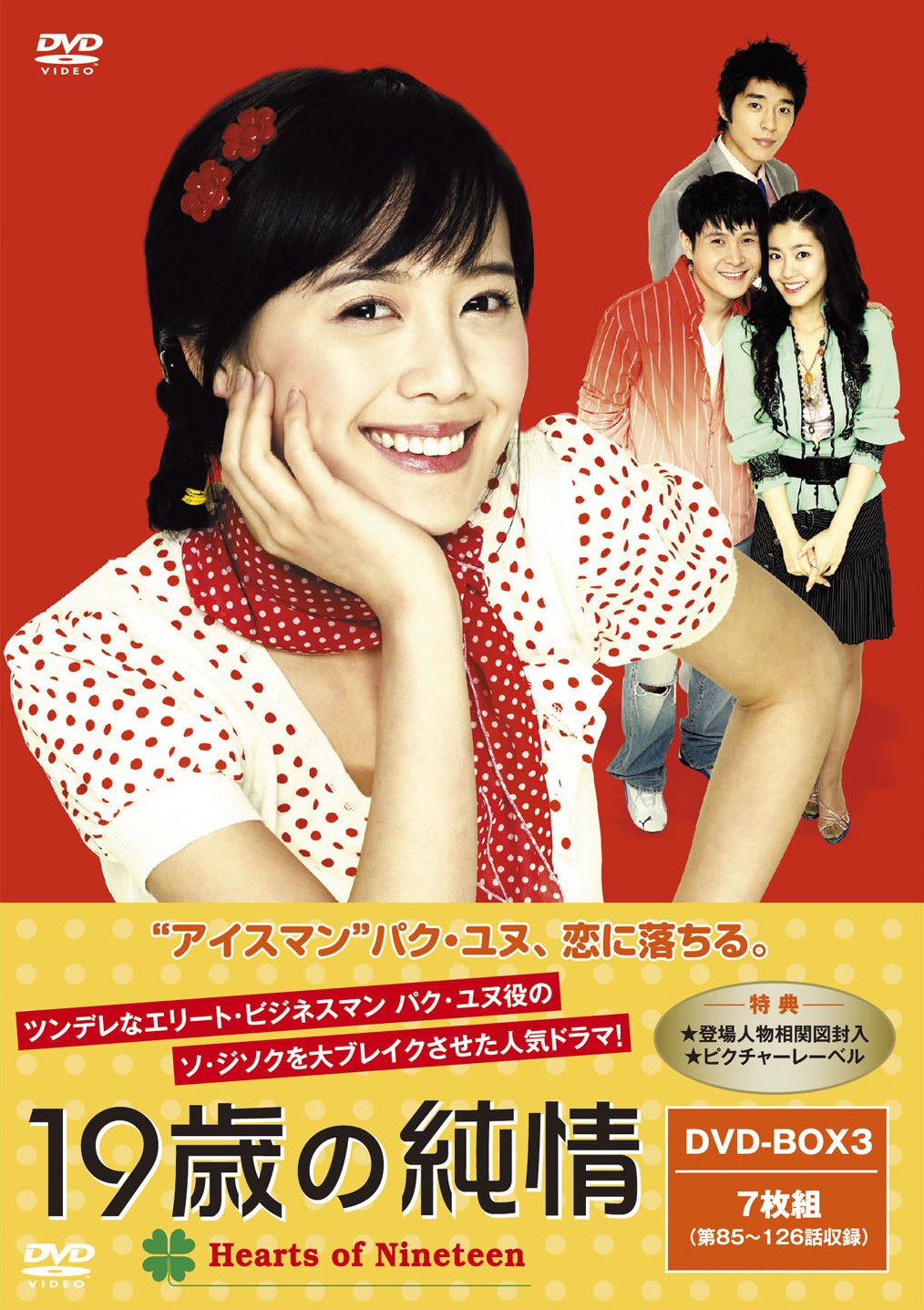 其它 - 【中古】19歳の純情 廉価版DVD-BOX3