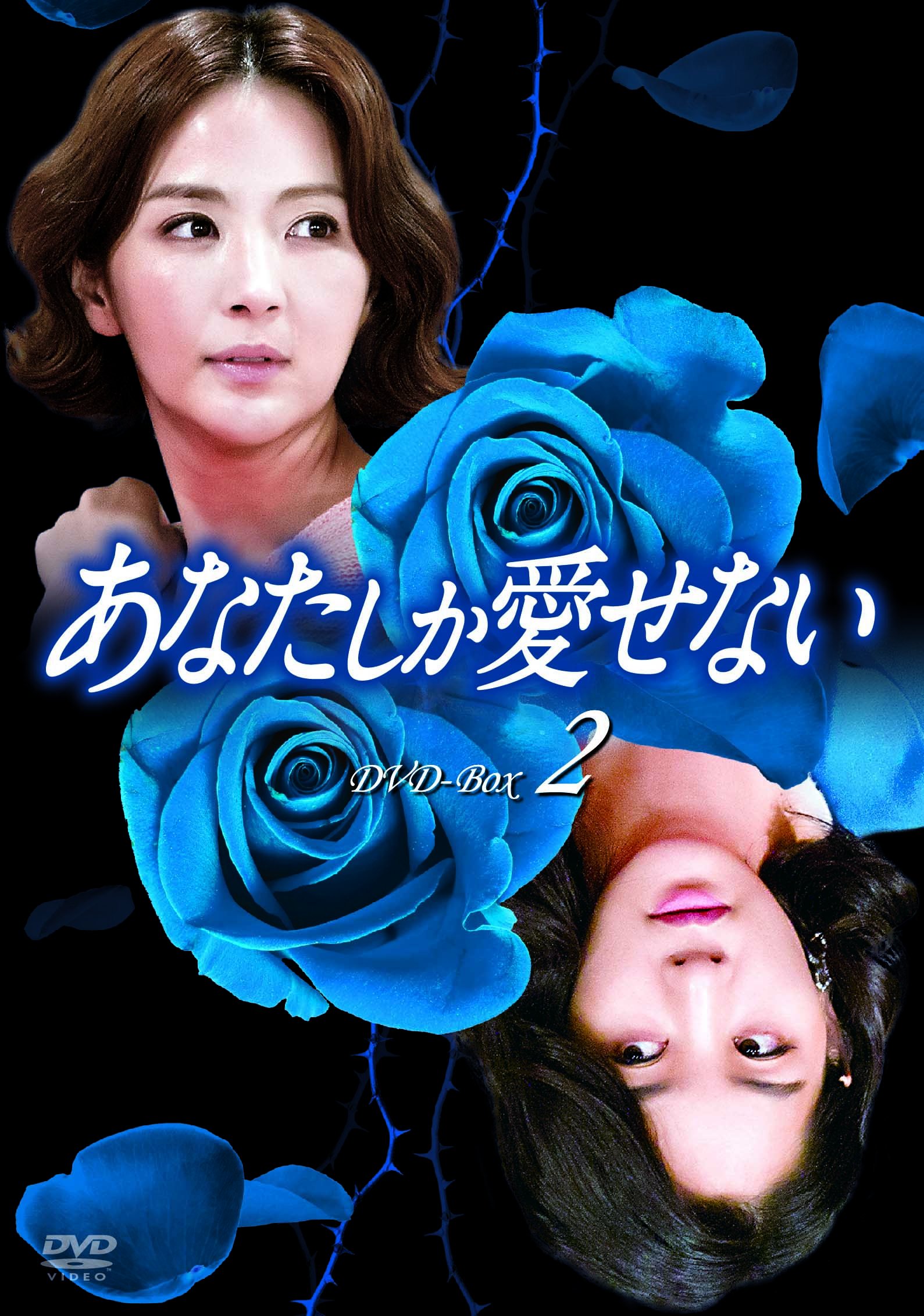 Masterpiece, Classic - 【中古】あなたしか愛せない DVD-BOX2