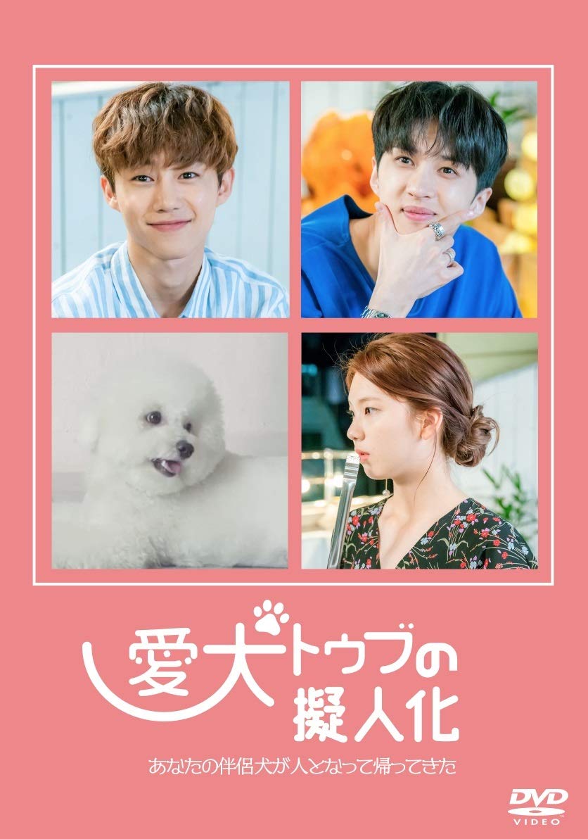 Variety - 【中古】愛犬トゥブの擬人化 [DVD]