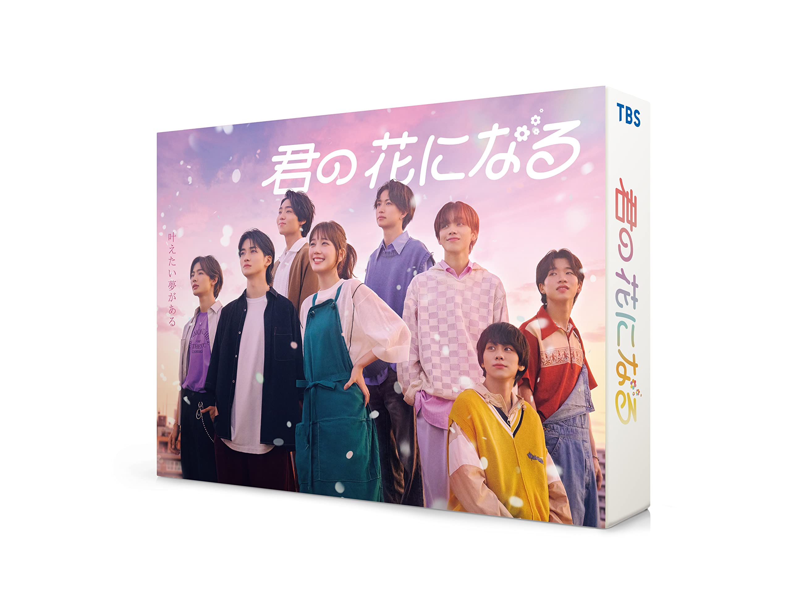 【中古】君の花になる　DVD-BOX [DVD]