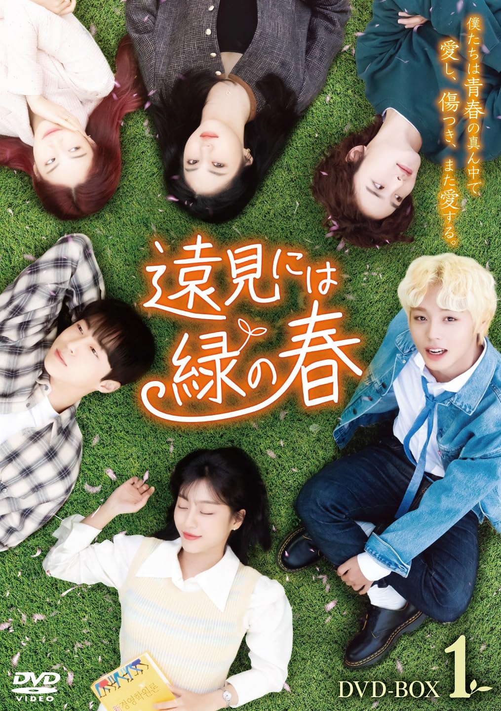 【中古】遠見には緑の春 DVD-BOX1 [DVD]