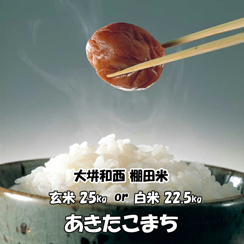 ★★日本棚田百選 減農薬米 H30年産 岡山県産 大垪和西棚田米 あきたこまち 玄米 25kg or 白米 22.5kg 搗きたて米をお届けします! ★★日本棚田百選 減農薬米 H30年産 岡山県産 大垪和西棚田米 あきたこまち 玄米 25kg or 白米 22.5kg 搗きたて米をお届けします!