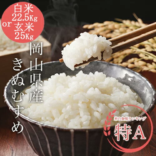 令和5年産 きぬむすめ 　 白米22.5kg or 玄米25kg 【岡山県産】【送料無料】