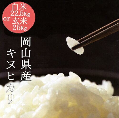 新米 令和5年産 キヌヒカリ 白米22.5kg or 玄米25kg 【岡山県産】【送料無料】※ 数量限定にて販売中!!