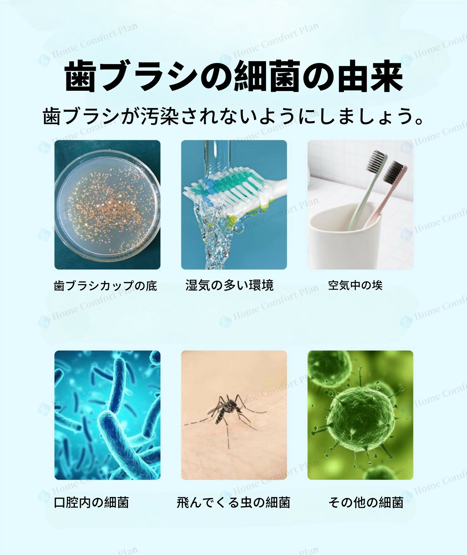歯ブラシ除菌器 歯ブラシ 除菌 壁掛け式 カビ防止 歯ブラシ収納 ケース 静音 USB充電式 LEDライト ドライ Type-c タイプC 説明書付き 除菌器