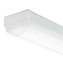 東芝ライテックLEDバー 40タイプTENQOOシリーズ4000lmタイプ一般 FLR40形×2灯用省電力タイプ昼白色N色:LEEM-40403N-01
