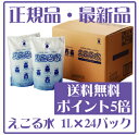 25年の実績とエビデンスと受賞歴えこる水 通常パックセット1000ml×24パック／弱酸性次亜塩素酸ナトリウム水溶液／送料無料／代引き手数料無料／最新品