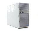 NEC Express5800/T110f-E Xeon E3-1220 v3 3.1GHz 4GB DVD-ROM AC*2 MegaRAID SAS 9267-8i ECCgp yÁzy20220210z