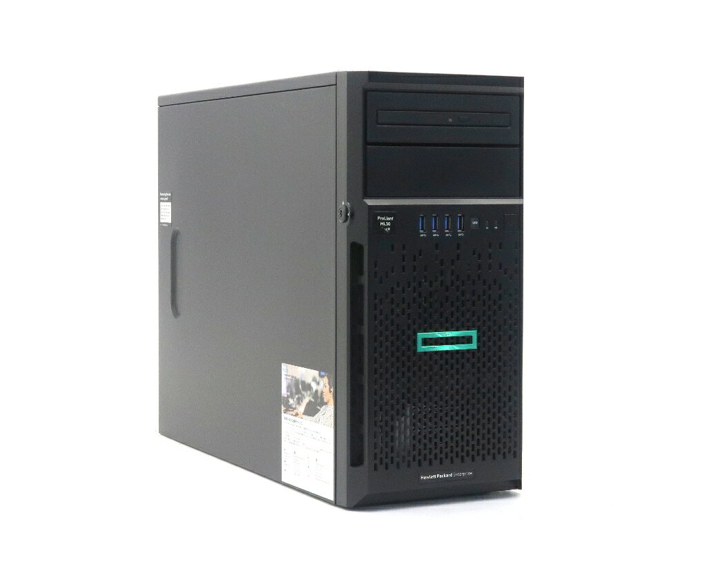 hp ProLiant ML30 Gen9 Xeon E3-1220 v6 3GHz 16GB 300GBx2台(SAS2.5インチ/12Gbps/RAID1構成) DVD+-RW SmartArray P440 難有 