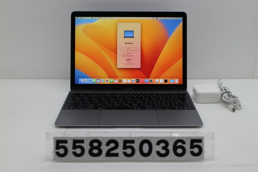 Apple MacBook Retina 12in 2017 A1534 スペースグレイ A1534 Core m3 7Y32 1.2GHz/8GB/256GB(SSD)/12W/WQXGA(2304x1440)【中古】【20251226】