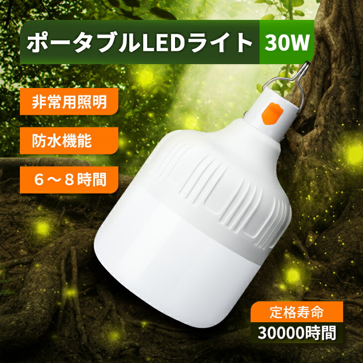 ポータブルLEDライト 30W ランタン テントランプ キャンプ灯 LED 充電可能 家庭用応急灯 照明ライト アウトドア 家庭用 野営 明るさ調節可能 屋内外兼用(CH-OTGN-30W)