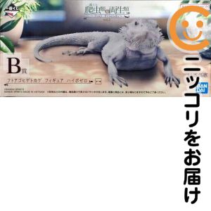 フトアゴヒゲトカゲ ハイポゼロ 「一番くじ 爬虫類&両生類〜Tiny Friends〜vol.2」 B賞 フィギュア【1週間以内発送】