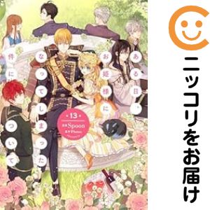 乐天商城 - ある日、お姫様になってしまった件について　全巻（1-13巻セット・完結）Spoon【10日以内発送】