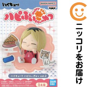 楽天市場】ハイキュー ハピふぃぎゅっ の通販