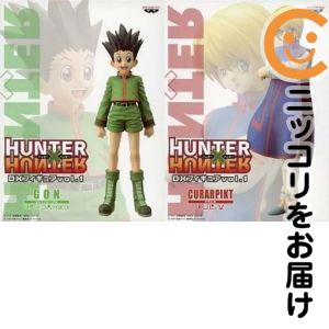 フィギュア 全2種セット 「HUNTER×HUNTER」 DXフィギュアvol.1