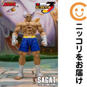 楽天市場】ストリートファイターZERO（コレクション｜ホビー）の通販