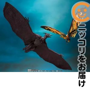 楽天市場】ラドン 2019の通販