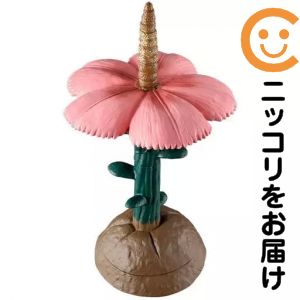 楽天市場】マンモスフラワー（フィギュア｜コレクション）：ホビーの通販