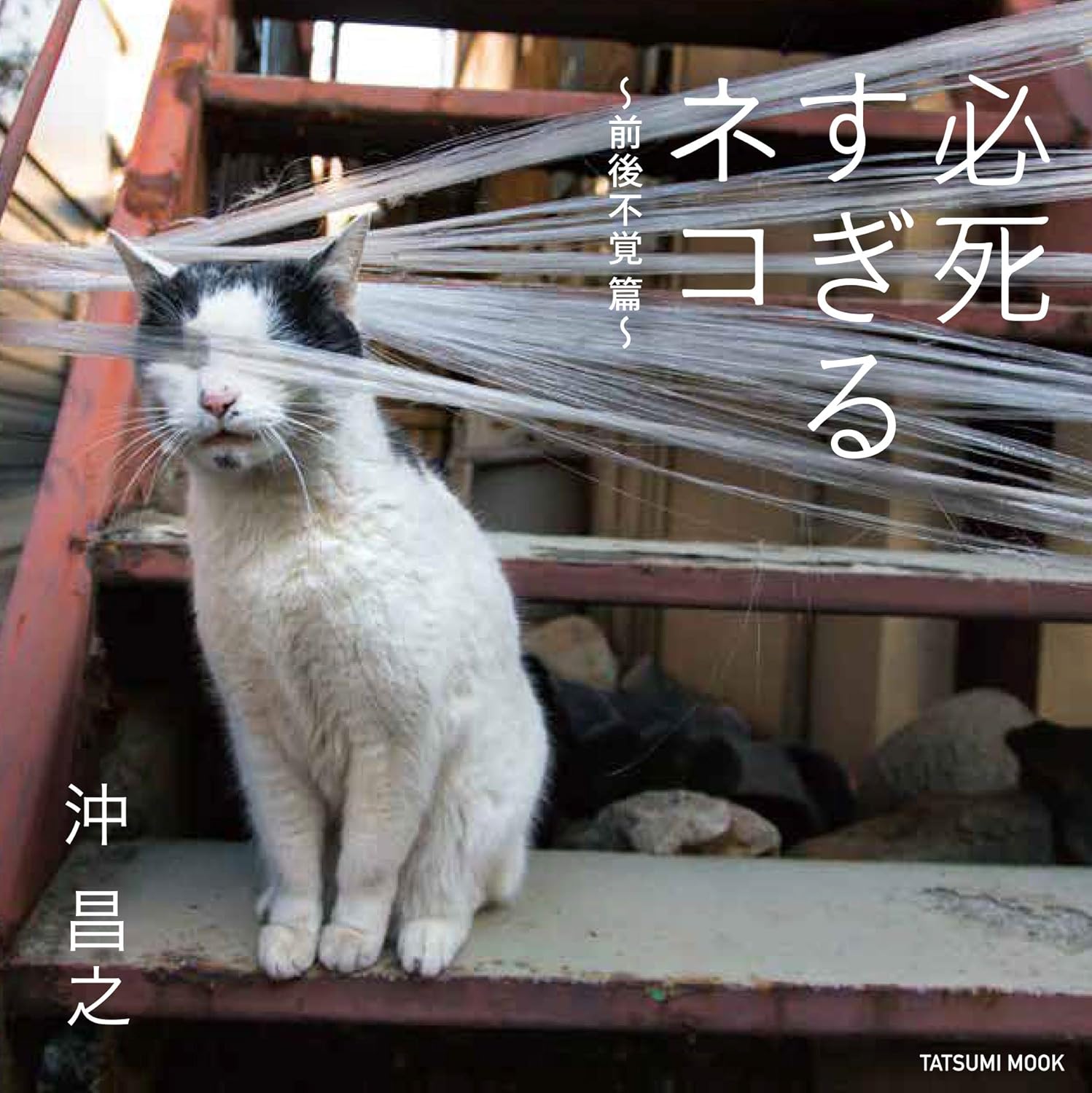 【新品】 必死すぎるネコ ~前後不覚 篇