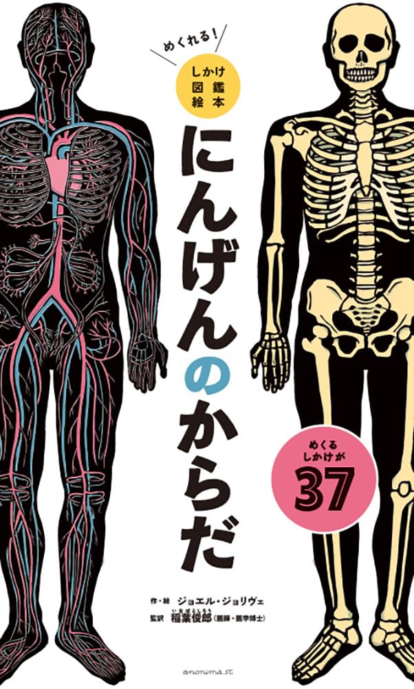楽天市場】人体絵本 めくってわかる・からだのしくみの通販