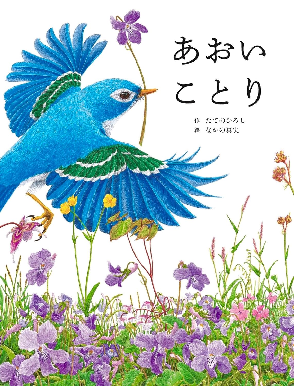Rakuten - 【新品】 あおいことり ／ たての ひろし (作), なかの 真実 (絵)