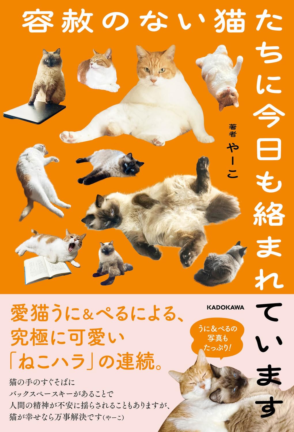 商品情報◎異彩を放つ文章を生み出し続けるやーこの新シリーズ。元地域猫のボスで鈴カステラみたいな模様の先住猫・うにと、その背中を見て飼い主を手玉に取る術を身につけたヒマラヤンのぺる、Xでも人気の愛猫2匹。やーこ節はそのままに、愛とユーモアあふれる文章と究極にかわいい写真で、愛猫たちからの「ねこハラ」だらけの暮らしをフルカラーでお届けする。「猫のエリザベスカラーで注意が必要な事」「猫の術後服に注意が必要な理由」「猫の毛繕い」「撫でてもらいたくなった猫」「猫に注意が必要な電気製品」などの人気作の他、書き下ろしも多数収録。今回は正真正銘、猫エッセイとなるが、声を出して笑ってしまうのではないかと心配な方は、周囲を確認してから読むことをおすすめする(気にしない方はそのままお読みください)。【目 次】猫の術後服に注意が必要な理由猫のエリザベスカラーで注意が必要な事訴えかける猫治療中の猫を見失う怪しい猫診察後に様子がおかしくなった猫外出時の猫のエリザベスカラーの注意点夏の記憶猫に注意が必要な電気製品猫の居ぬ間に撫でてもらいたくなった猫猫の多頭飼いで起こり得る事猫の隠蔽工作猫の都合の良い耳連休中の猫訝しむ猫音楽の可能性に一石を投じる猫トイレ砂を買いに行く衣も、やぶさかではない猫猫の毛繕い〔ほか〕─────────────────────────■著者プロフィールやーこ日常に転がるちょっとしたトラブルを、ドライブ感あふれる筆致でユーモアたっぷりに書き、Xとnoteで配信中。抱腹絶倒の展開と劇的なオチの真偽は定かではなく、謎多き存在だが、その世界観に魅了されるファンが増え続けている。2023年5月に『猫の診察で思いがけないすれ違いの末、みんな小刻みに震えました』（KADOKAWA）でデビュー。●新品 未読品です。●防水対策も踏まえ迅速丁寧に発送させていただきます。●本商品は希少性が高く、プレミア価格での販売となっております。そのため、定価とは異なる価格設定となっておりますので、ご購入前に価格を必ずご確認のうえご検討ください。●発送は決済後、土日、祝日を除いて3～5営業日以内に発送いたします。 発送は追跡番号付きでサイズに合わせて発送させていただきます。　発送お急ぎの方はメールにてご連絡ください。●到着まで2，3日はかかりますのでご了承ください。●雑誌、書籍の場合、店頭在庫の為、出版から日数が経った商品などは細かいキズ、初期スレ、ヤケなどある場合もございますので、予めご了承ください。●帯のあり、なしは選べませんので予めご了承ください。●他でも販売していますので、在庫が欠品になる場合もございます。在庫切れの場合は早急にメールにてご連絡いたします、決済もされませんのでご安心ください。●ご注文確定後はキャンセルができません。ご購入時にご注意お願いいたします。●TELでのお問い合わせは行っておりません。メールにてお問い合わせください。