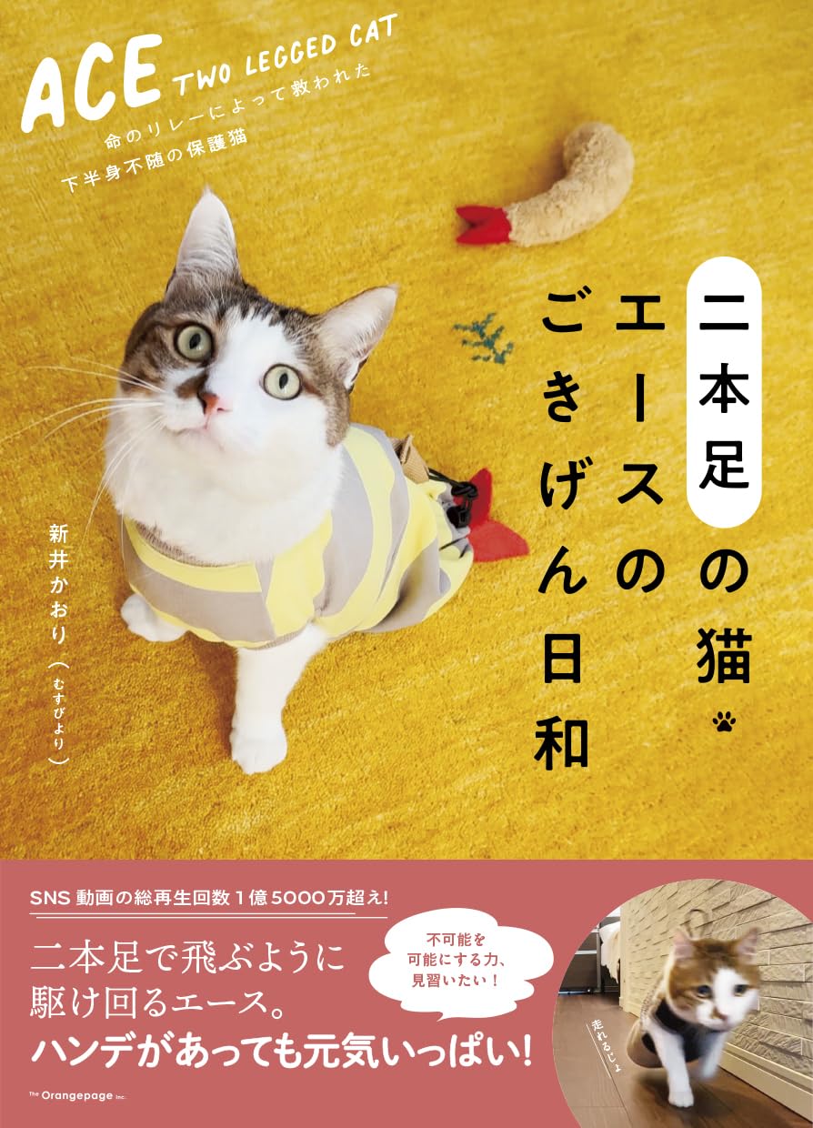 【新品】 二本足の猫・エースのごきげん日和