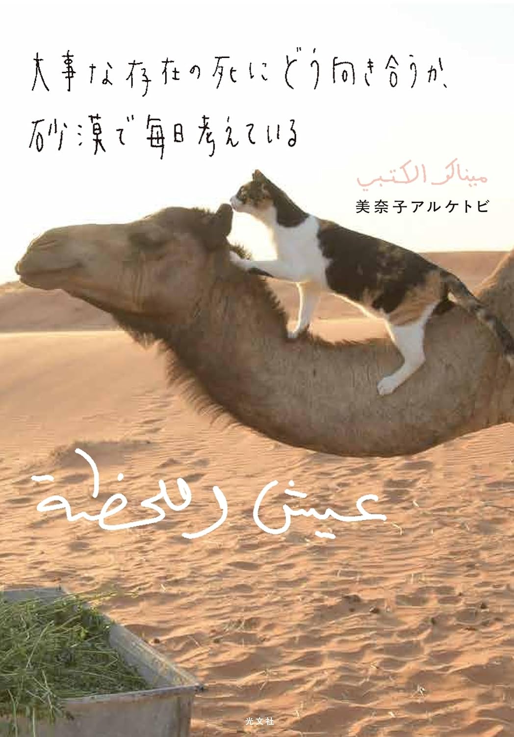 【送料無料】社会派化粧品／萩原健太郎