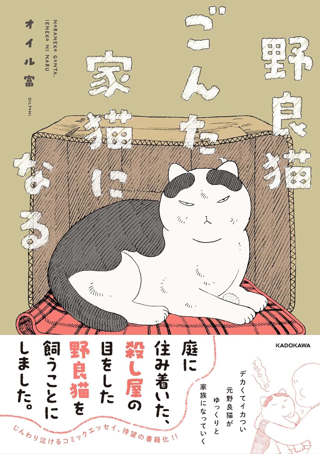 Rakuten - 【新品】 野良猫ごんた、家猫になる