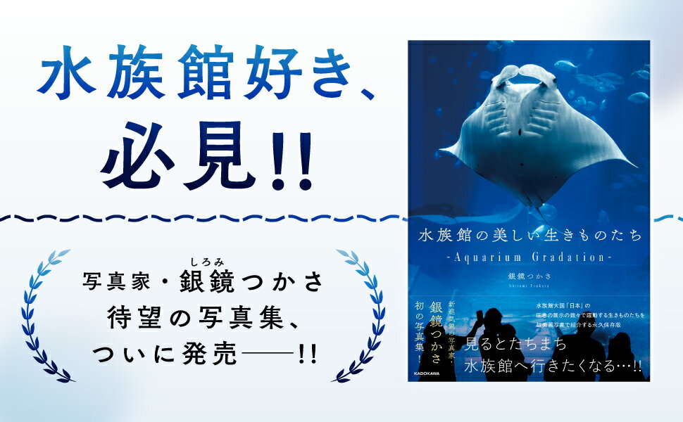 【新品】水族館の美しい生きものたち -Aquarium Gradation- 3