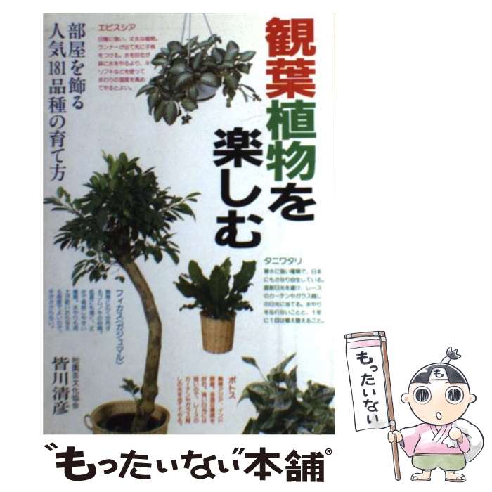 【中古】 観葉植物を楽しむ 部屋を飾る人気181品種の育て方 / 皆川 清彦 / 永岡書店 [単行本]【メール..