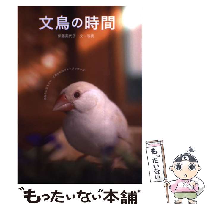 【中古】 文鳥の時間 / 伊藤 美代子 / 誠文堂新光社 [単行本]【メール便送料無料】【最短翌日配達対応】