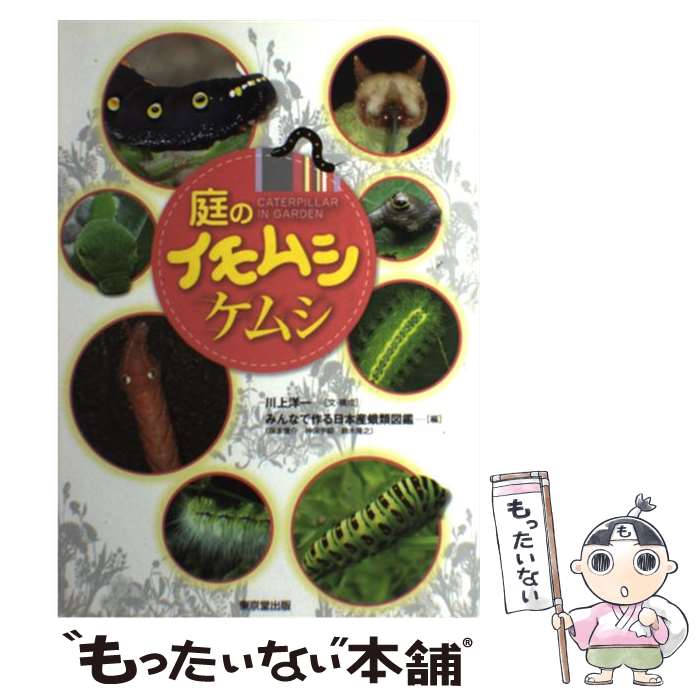 ����š� ���Υ���ॷ���ॷ / �ߤ�ʤǺ�����ܻ�����޴� / ���Ʋ���� [ñ���ܡʥ��եȥ��С���]�ڥ᡼��������̵���ۡں�û������ã�б���