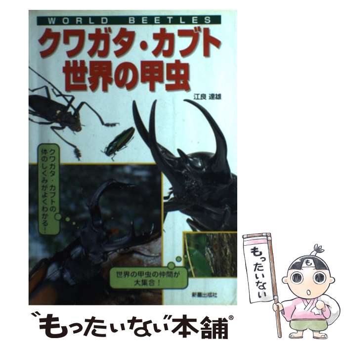【中古】 クワガタ・カブト・世界の甲虫 / 江良 達雄 / 新星出版社 [単行本]【メール便送料無料】【最短翌日配達対応】