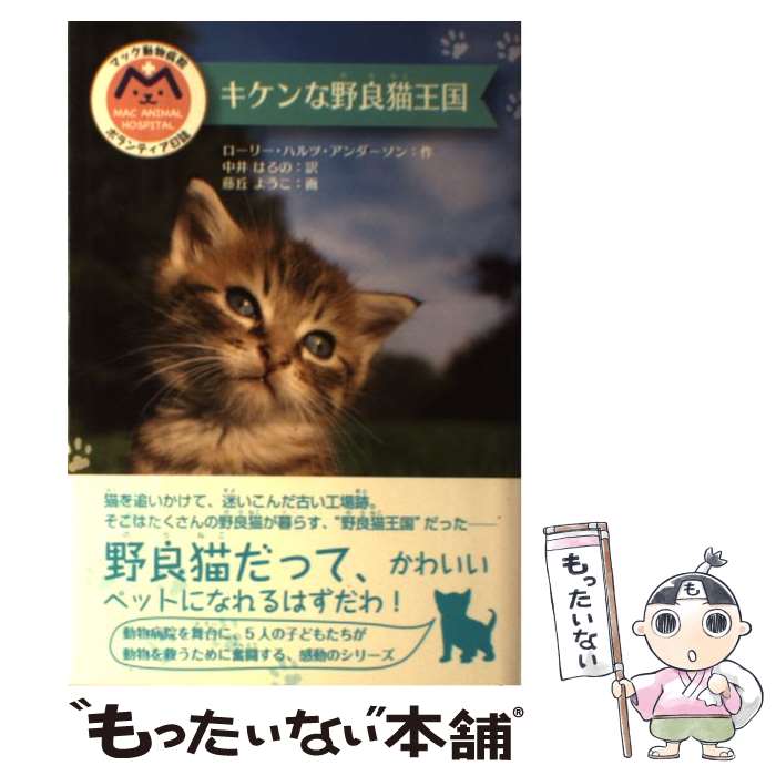 【中古】 キケンな野良猫王国 / ローリー・ハルツ アンダーソン, 中井 はるの, Laurie Halse Anderson / 金の星社 [単行本]【メール便送料無料】【最短翌日配達対応】