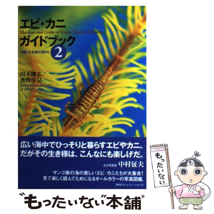 著者：川本 剛志, 奥野 淳兒出版社：CEメディアハウスサイズ：単行本（ソフトカバー）ISBN-10：4484034050ISBN-13：9784484034058■通常24時間以内に出荷可能です。※繁忙期やセール等、ご注文数が多い日につきましては　発送まで48時間かかる場合があります。あらかじめご了承ください。 ■メール便は、1冊から送料無料です。※宅配便の場合、2,500円以上送料無料です。※最短翌日配達ご希望の方は、宅配便をご選択下さい。※「代引き」ご希望の方は宅配便をご選択下さい。※配送番号付きのゆうパケットをご希望の場合は、追跡可能メール便（送料210円）をご選択ください。■ただいま、オリジナルカレンダーをプレゼントしております。■お急ぎの方は「もったいない本舗　お急ぎ便店」をご利用ください。最短翌日配送、手数料298円から■まとめ買いの方は「もったいない本舗　おまとめ店」がお買い得です。■中古品ではございますが、良好なコンディションです。決済は、クレジットカード、代引き等、各種決済方法がご利用可能です。■万が一品質に不備が有った場合は、返金対応。■クリーニング済み。■商品画像に「帯」が付いているものがありますが、中古品のため、実際の商品には付いていない場合がございます。■商品状態の表記につきまして・非常に良い：　　使用されてはいますが、　　非常にきれいな状態です。　　書き込みや線引きはありません。・良い：　　比較的綺麗な状態の商品です。　　ページやカバーに欠品はありません。　　文章を読むのに支障はありません。・可：　　文章が問題なく読める状態の商品です。　　マーカーやペンで書込があることがあります。　　商品の痛みがある場合があります。