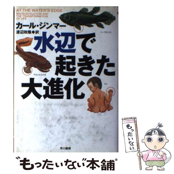  水辺で起きた大進化 / カール ジンマー, Carl Zimmer, 渡辺 政隆 / 早川書房 