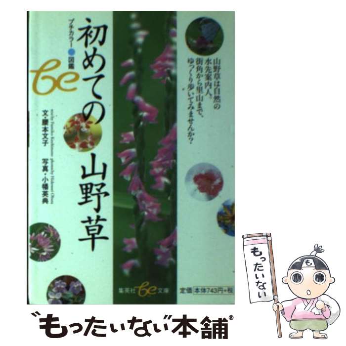 š Ƥλ /  ʸ / Ѽ [ʸ]ڥ᡼̵ۡںûãб