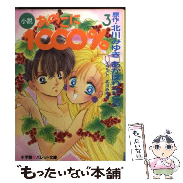 【中古】 小説あのこに1000％（3） / あかほり さとる, 北川 みゆき / 小学館 [文庫]【メール便送料無料】【最短翌日配達対応】