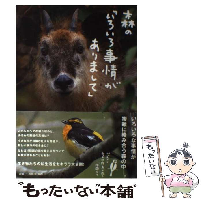 ����š� ���Ρ֤����������𤬤���ޤ��ơ� / �ԥå��� / ��ǻ������ʹ�� [ñ���ܡʥ��եȥ��С���]�ڥ᡼��������̵���ۡں�û������ã�б���