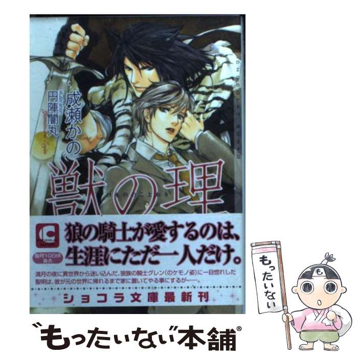 š ä /  , ߿ Ǵ /  [ʸ]ڥ᡼̵ۡںûãб