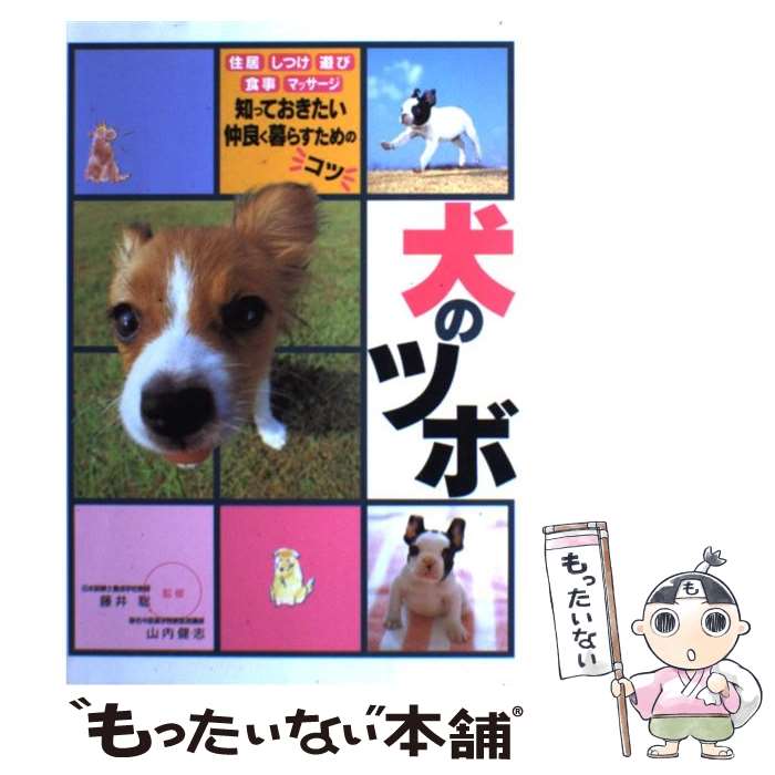 【中古】 犬のツボ 住居 しつけ 遊び 食事 マッサージ / 藤井聡, 山内健志 / 永岡書店 単行本 【メール便送料無料】【あす楽対応】