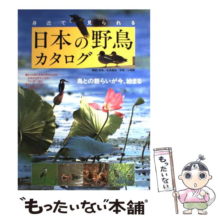 【中古】 身近で見られる日本の野鳥カタログ 鳥との語らいが今、始まる / 安部 直哉 / 成美堂出版 [大..