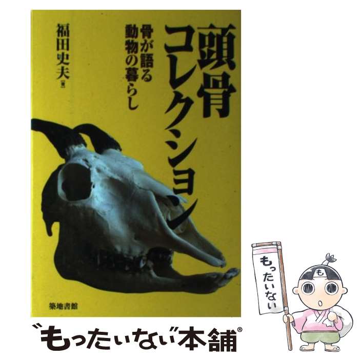 楽天市場】頭骨コレクションの通販