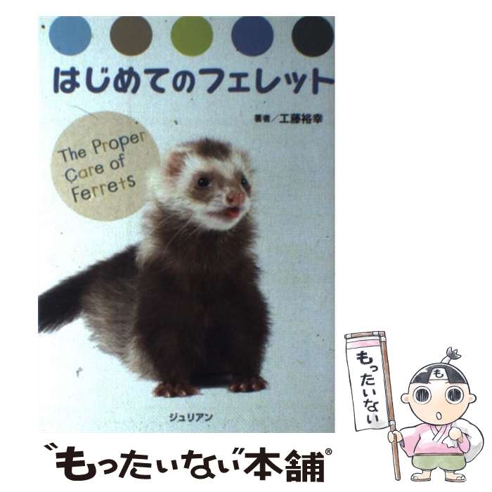 【中古】 はじめてのフェレット / 