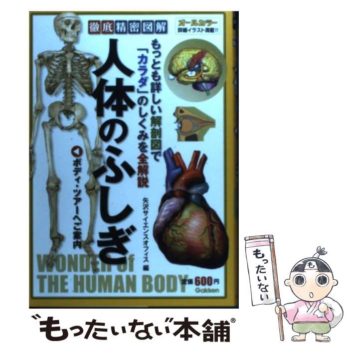 楽天もったいない本舗　楽天市場店【中古】 徹底精密図解人体のふしぎ もっとも詳しい解剖図で「カラダ」のしくみを全解説 / 矢沢サイエンス オフィス / 学研プラス [単行本]【メール便送料無料】【あす楽対応】