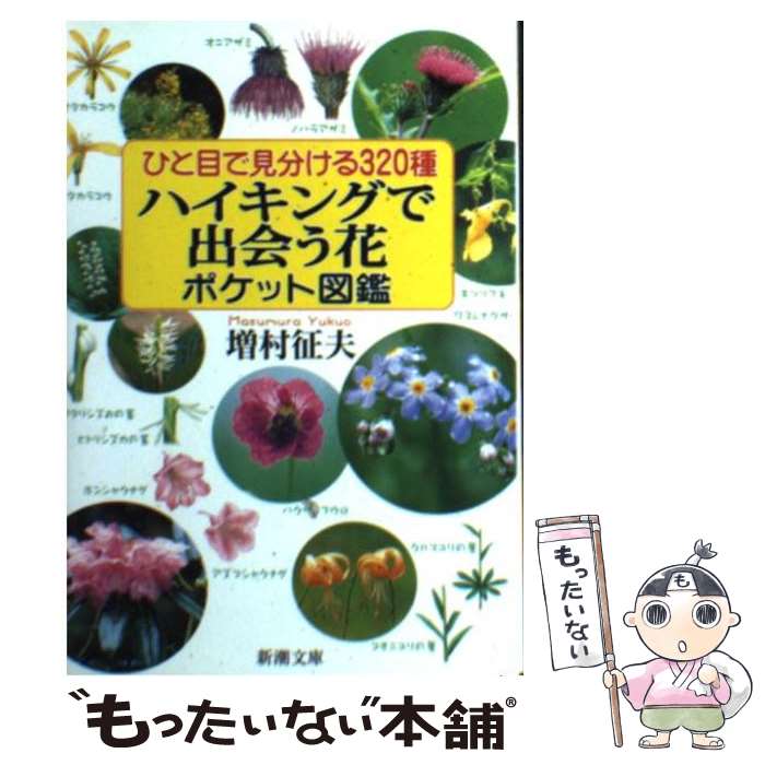 š ҤܤǸʬ320ϥ󥰤ǽв񤦲֥ݥåȿ޴ / ¼  / Ĭ [ʸ]ڥ᡼̵ۡںûãб