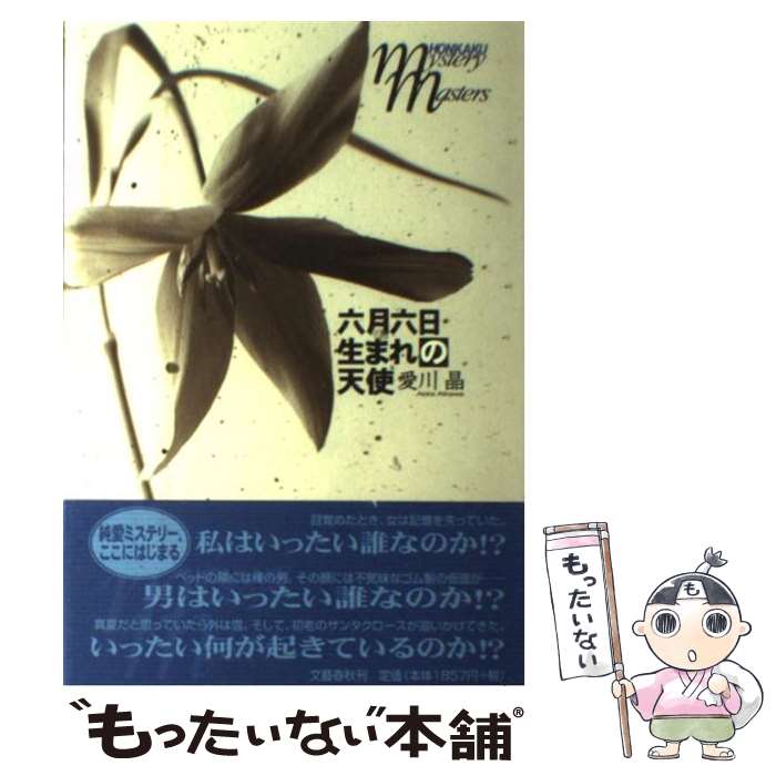 š ϻϻޤŷ /   / ʸ麽ս [ñ]ڥ᡼̵ۡںûãб