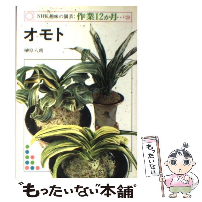 【中古】 オモト / 榊原 八朗 / NHK出版 [ペーパーバック]【メール便送料無料】【最短翌日配達対応】